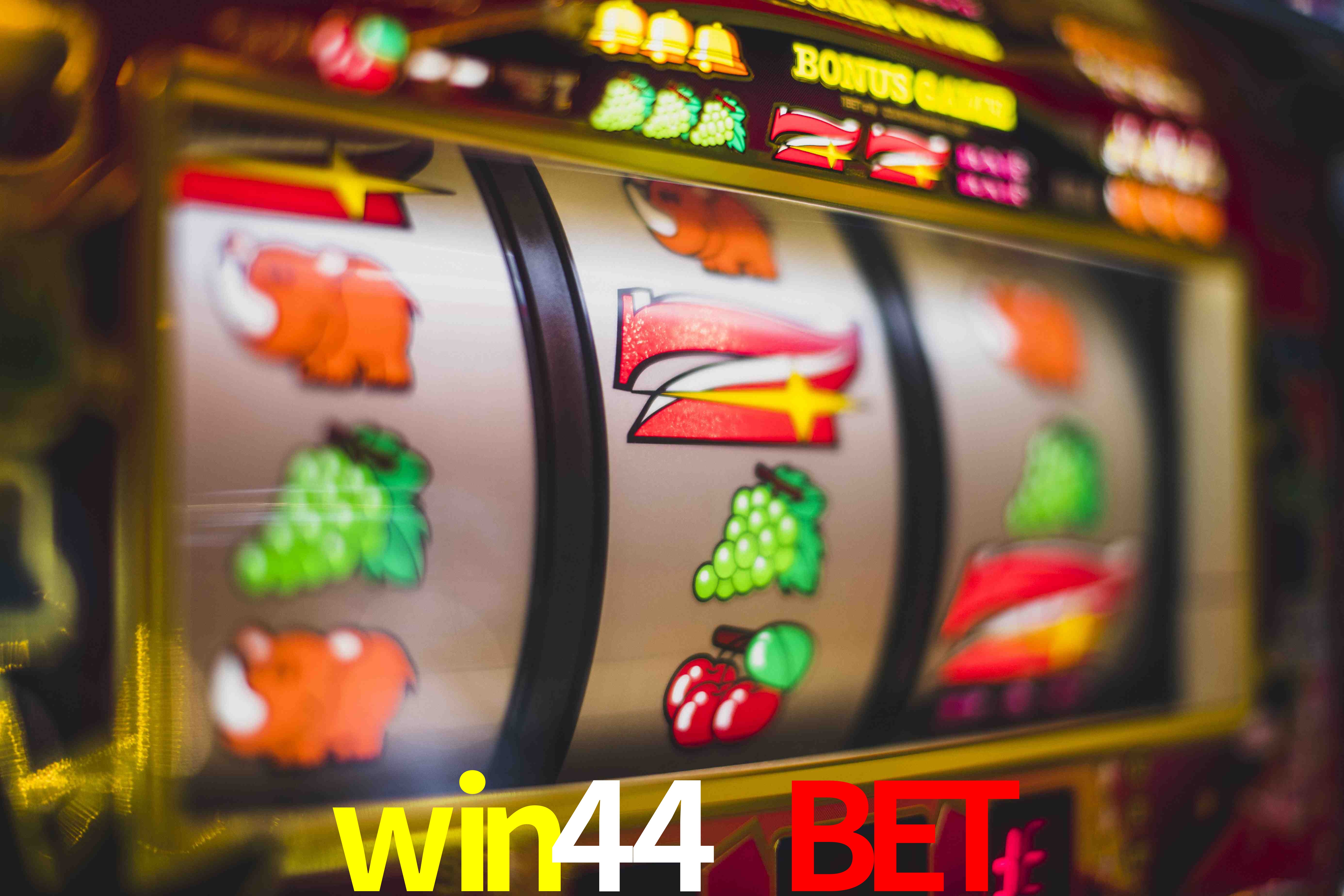 Statistics win44 bet
